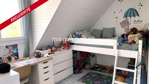 photo no. 12