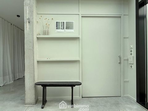 photo no. 11