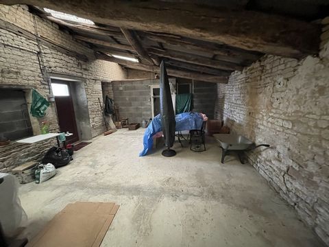 photo no. 11