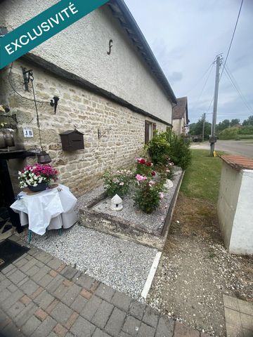 photo no. 10