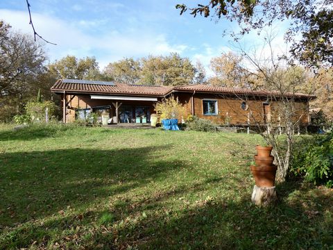 photo no. 11