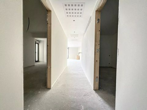 photo no. 13