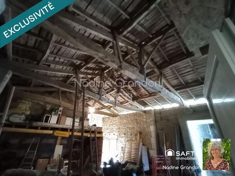 photo no. 11