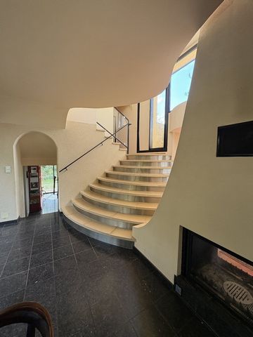 photo no. 12