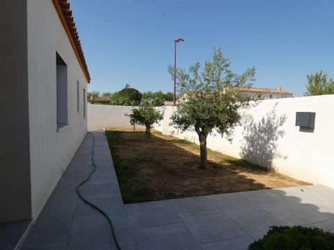 photo no. 12