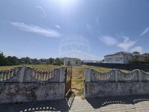 Terreno para venda Terreno Urbano para Construção – 2.500m² em Samora Correia Excelente oportunidade de investimento em Samora Correia! Terreno urbano com 2.500m², muito bem localizado, em zona tranquila mas com bons acessos, ideal para construção de...
