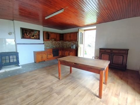 photo no. 11