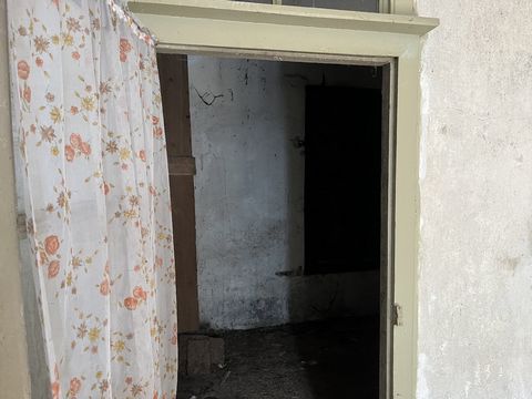 photo no. 18