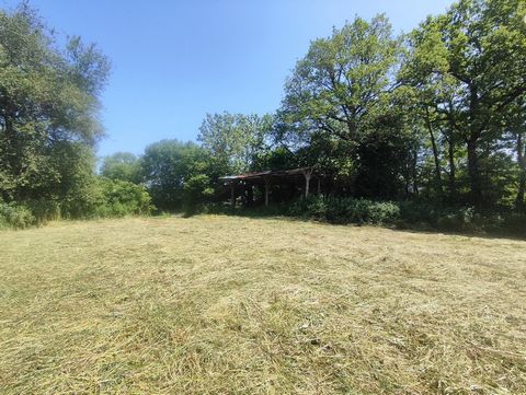 photo no. 15