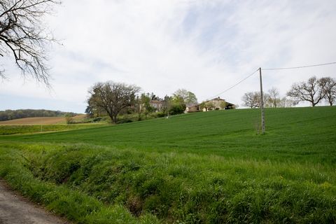 photo no. 20