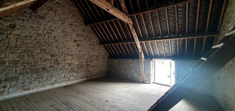 photo no. 10