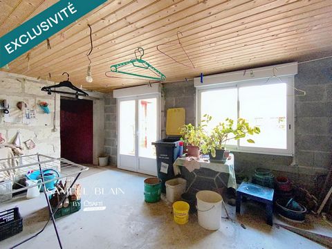 photo no. 7