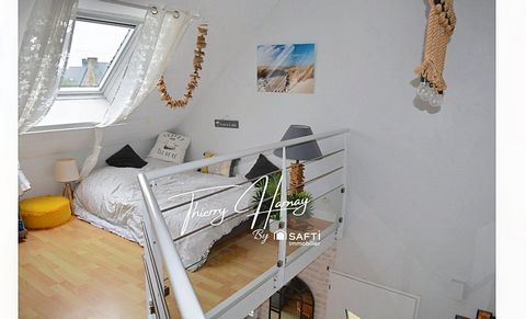 photo no. 8