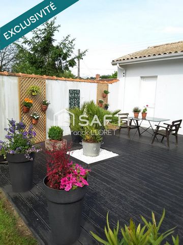 photo no. 10