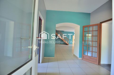 photo no. 11