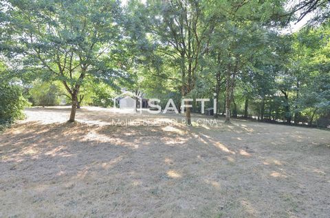 photo no. 14