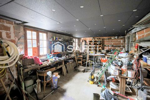 photo no. 11