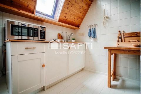 photo no. 12