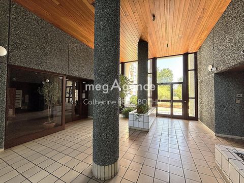 photo no. 11