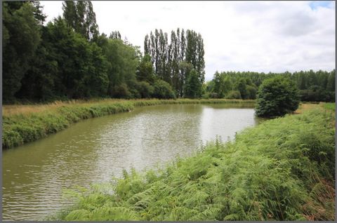 photo no. 13