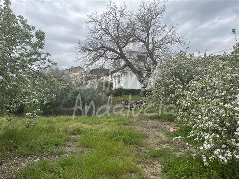 Gelegen in het gewilde dorp Zagrilla Baja in de provincie Córdoba in Andalusië, Spanje, ligt deze woning met een woonoppervlakte van 291 m², 5 slaapkamers en 3 badkamers op een royaal perceel van 3.257 m². Gelegen aan de rand van het dorp met parkeer...
