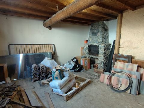 photo no. 11
