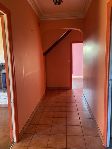 photo no. 11