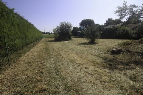 photo no. 1