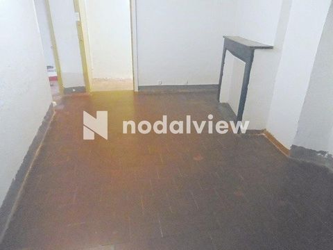 photo no. 7