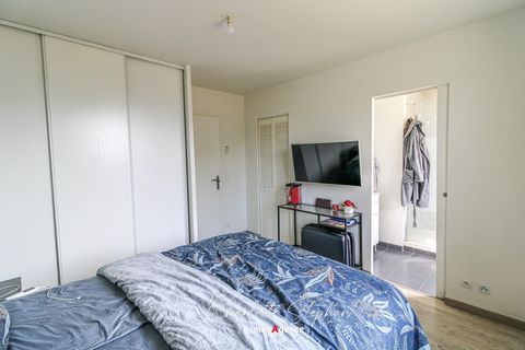 photo no. 6