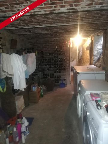 photo no. 12