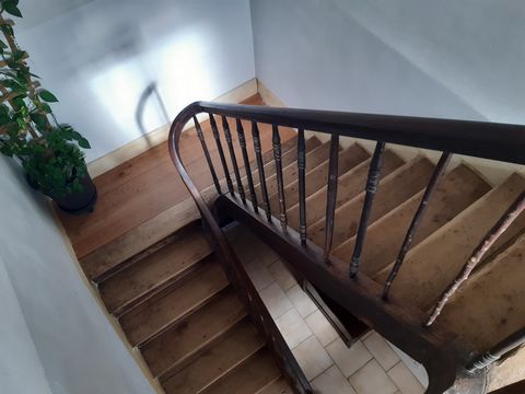 photo no. 4