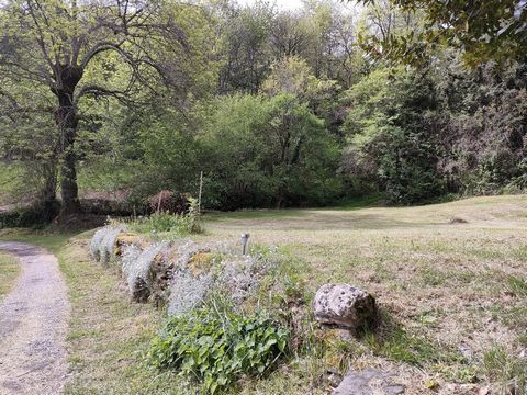 photo no. 22