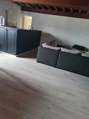 photo no. 11