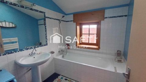 photo no. 11