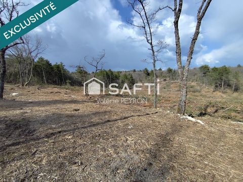 Spécial Investisseur - Terrain Agricole 11943 m²