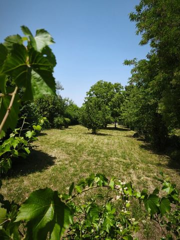 Terrain à vendre Proche centre de Bléneau BLENEAU (89)
