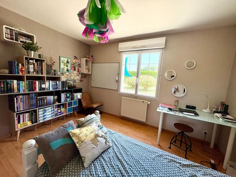 photo no. 12