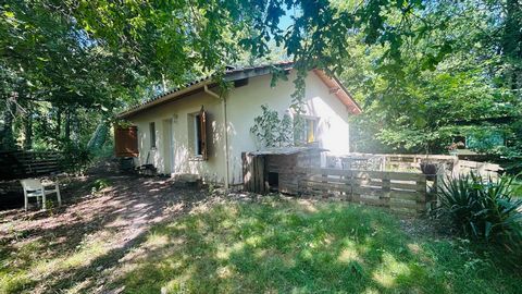 ? À VENDRE – MAISON DE 60 m² AVEC GRAND TERRAIN À MOUSTEY ?