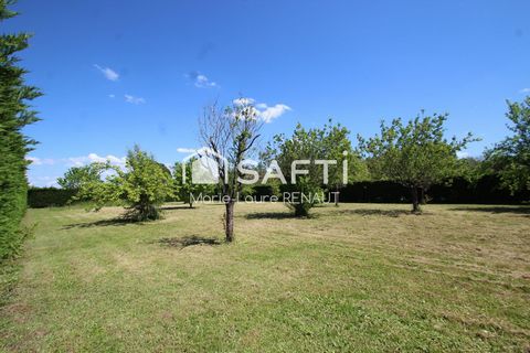 photo no. 4