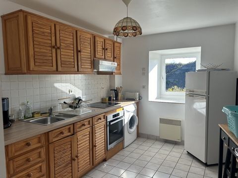photo no. 11