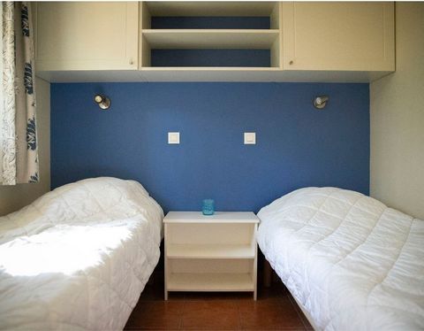 photo no. 10