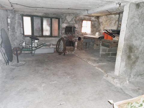 photo no. 11