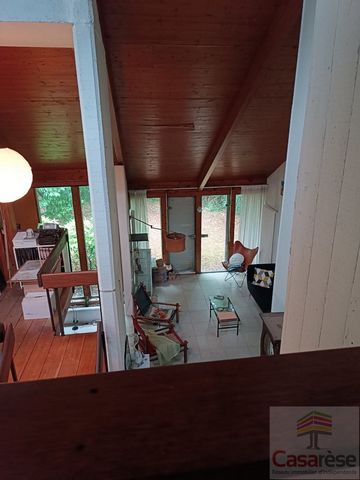 photo no. 5