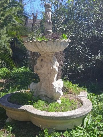 photo no. 17