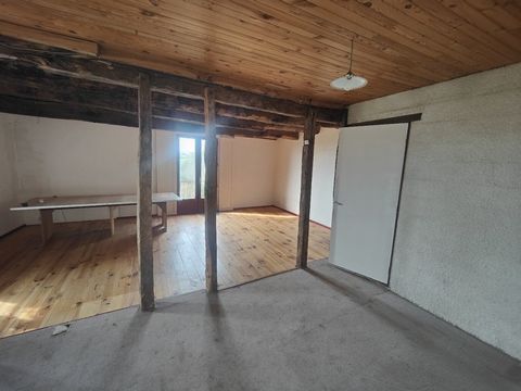 photo no. 13