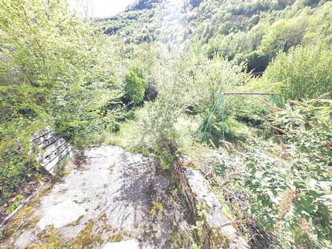 photo no. 16