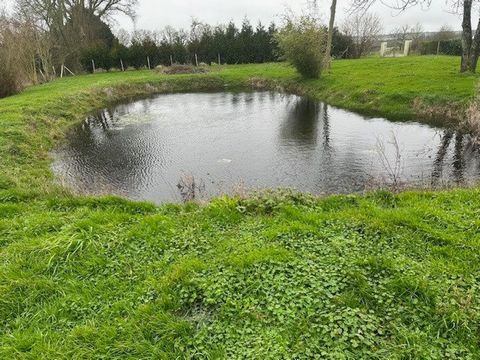 photo no. 7