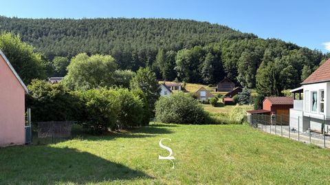 photo no. 2