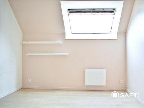 photo no. 6